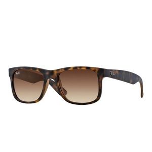 Tortouise/Black shade Ray Bans